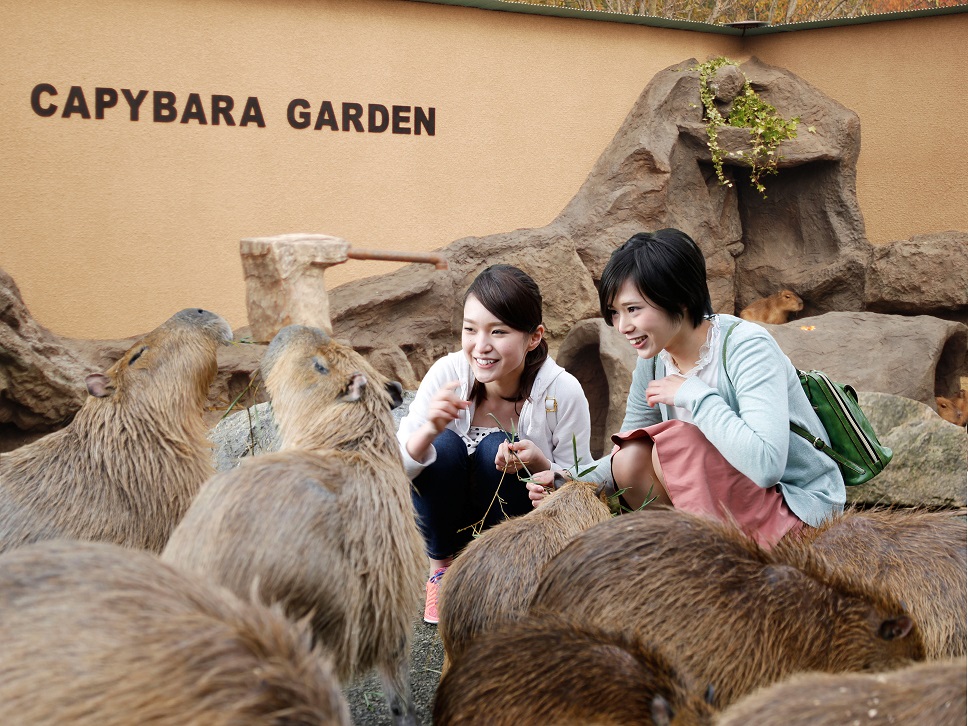 姫路セントラルパーク
