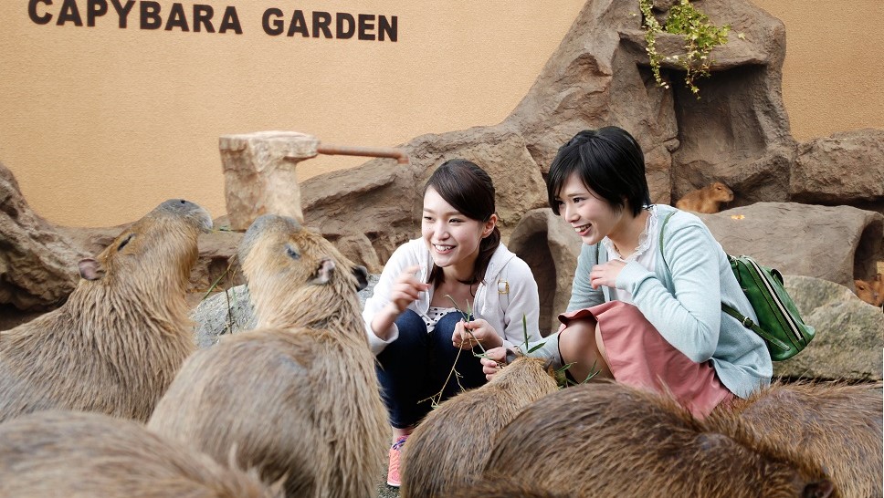 姫路セントラルパーク（サファリ）