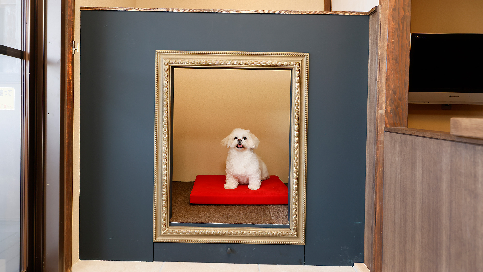 ドッグフレンドリールーム(洋室)　イメージ