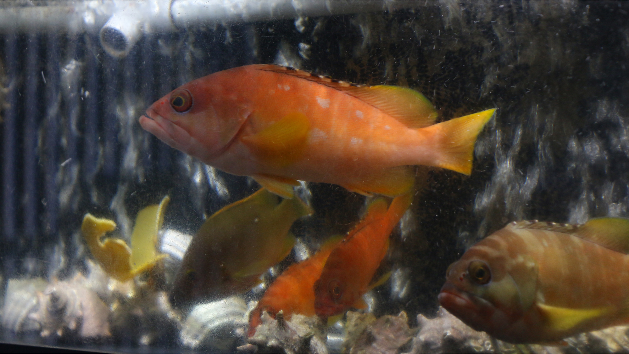 【館内イメージ】