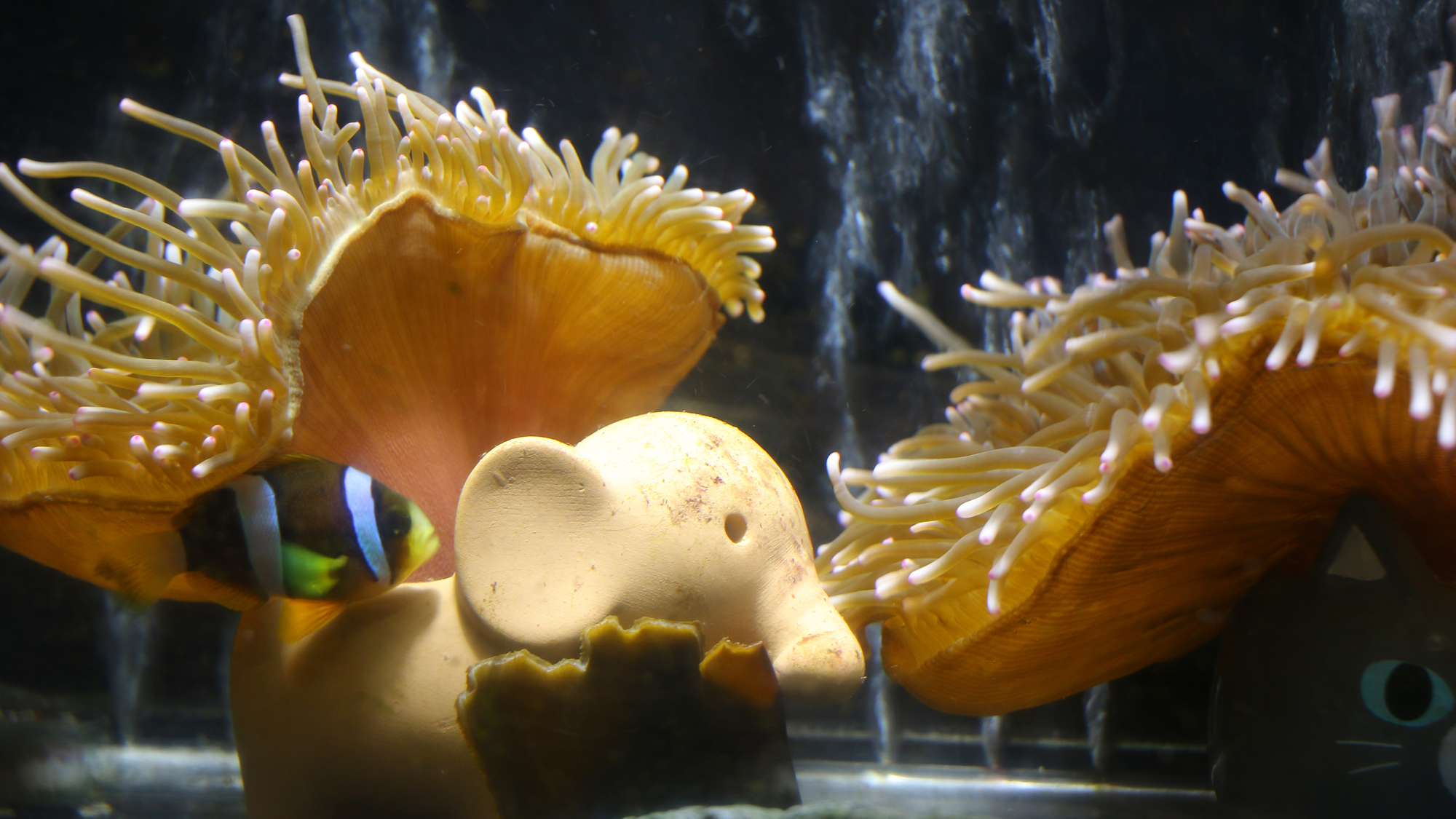 【館内イメージ】