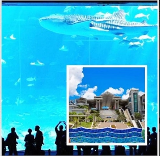 Churaumi Aquarium (30 minutes by car)