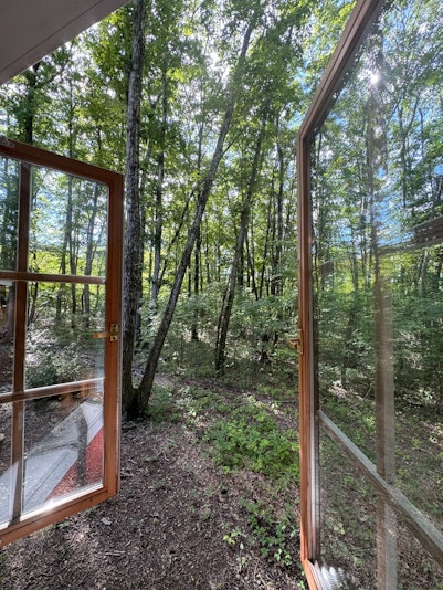 窓を開けると鳥のさえずりが聞こえます