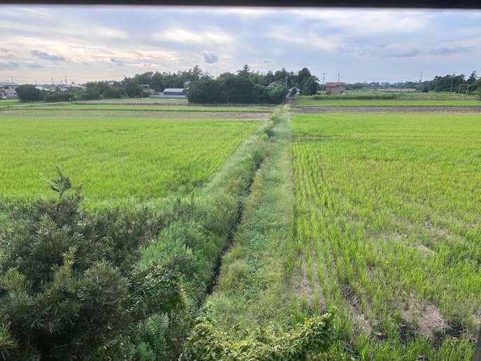 窓の外に見える長生村の田園風景