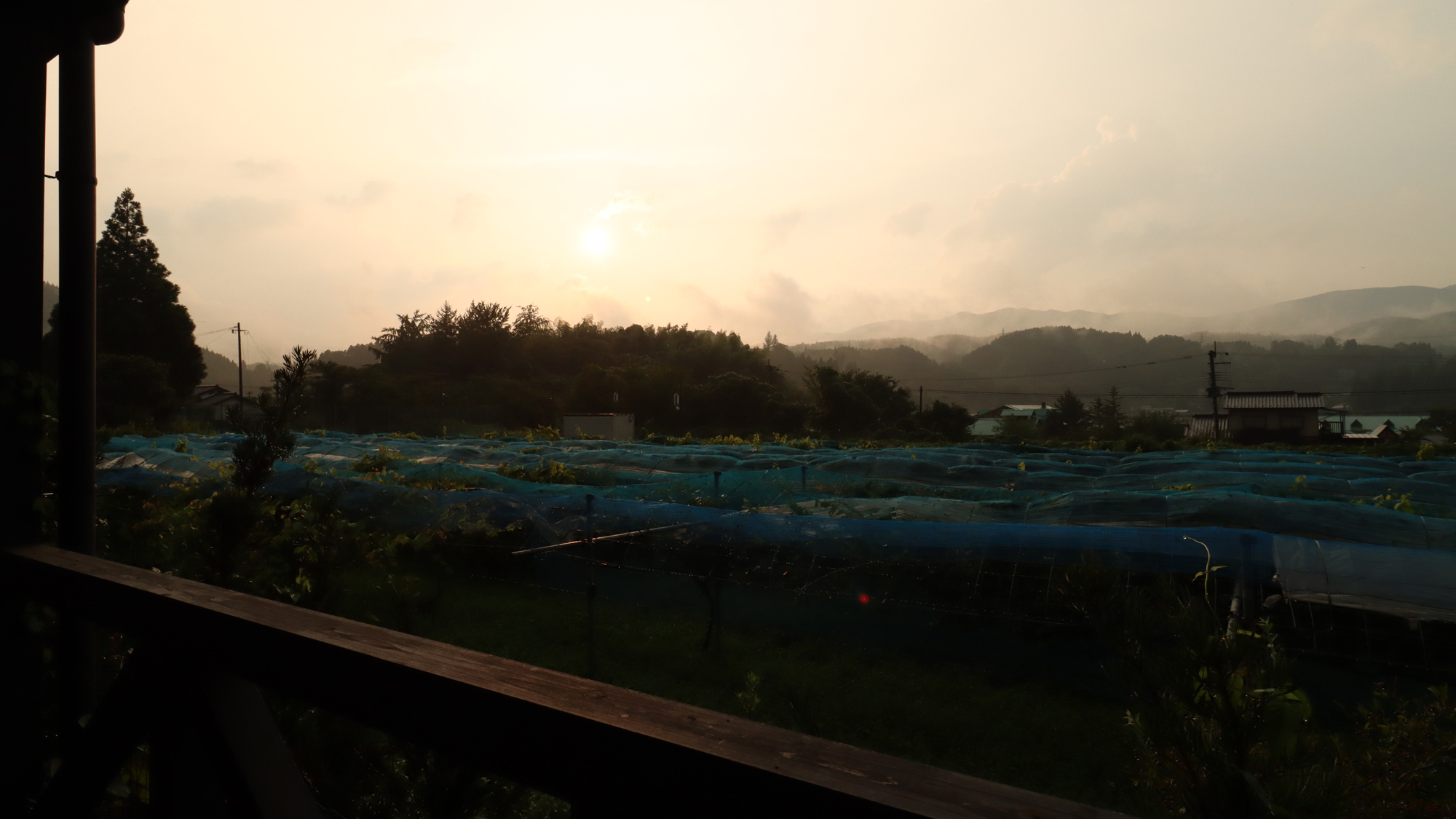 由布院　蔓蕩蒼　－　Ｍａｔｏｕｓｏｕ　－ 