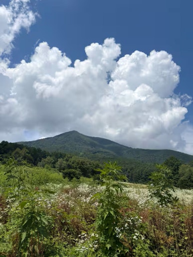 飯縄山　徒歩３分の景色