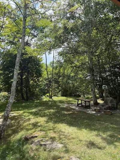 １階デッキからの景色