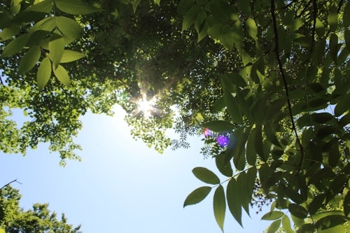 ＷＥＮＤ　ＵＲＡＢＡＮＤＡＩ　＾