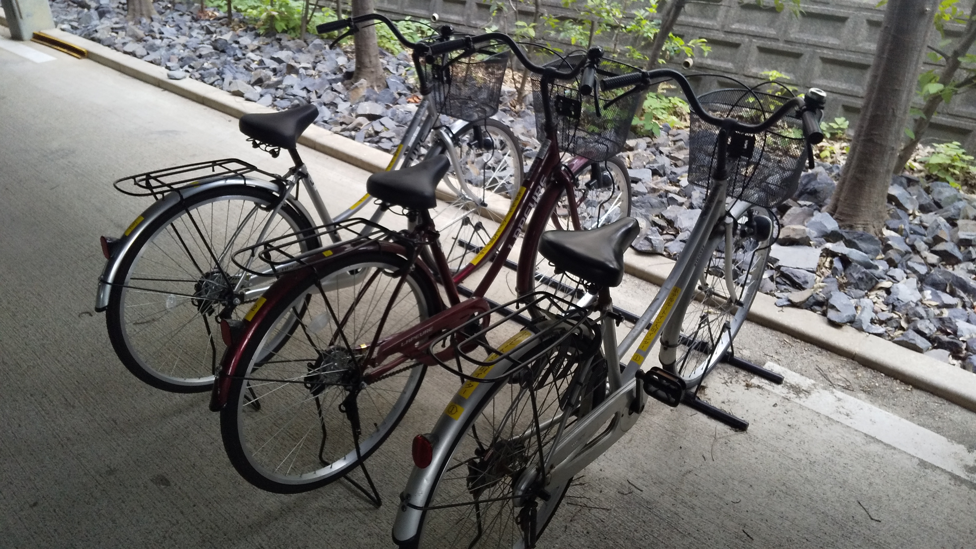 レンタル自転車　3台　２時間無料でご利用頂けます。フロントまでお申し付け下さい。