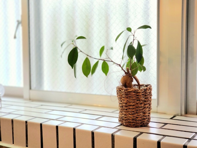 明るく清潔なキッチンです。食器、調理器具、調理家電一式を無料でご利用いただけます。（後片付け、...