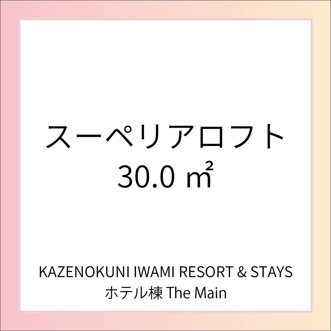 スーペリアロフト／30平米