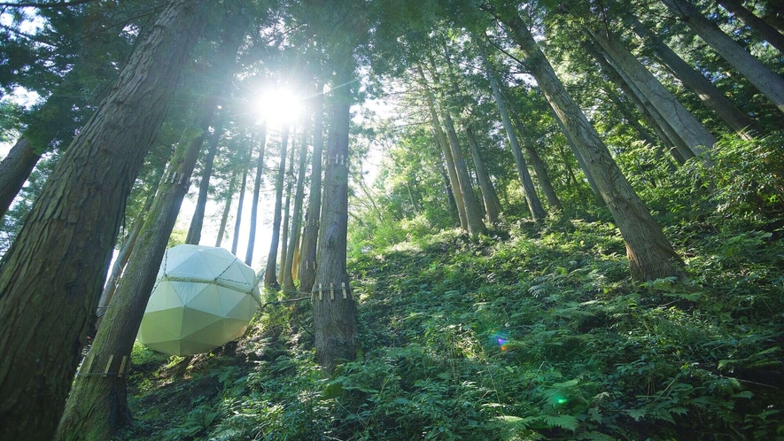 森に浮かぶ「球体テント」（風呂・トイレなし）（一棟貸し）