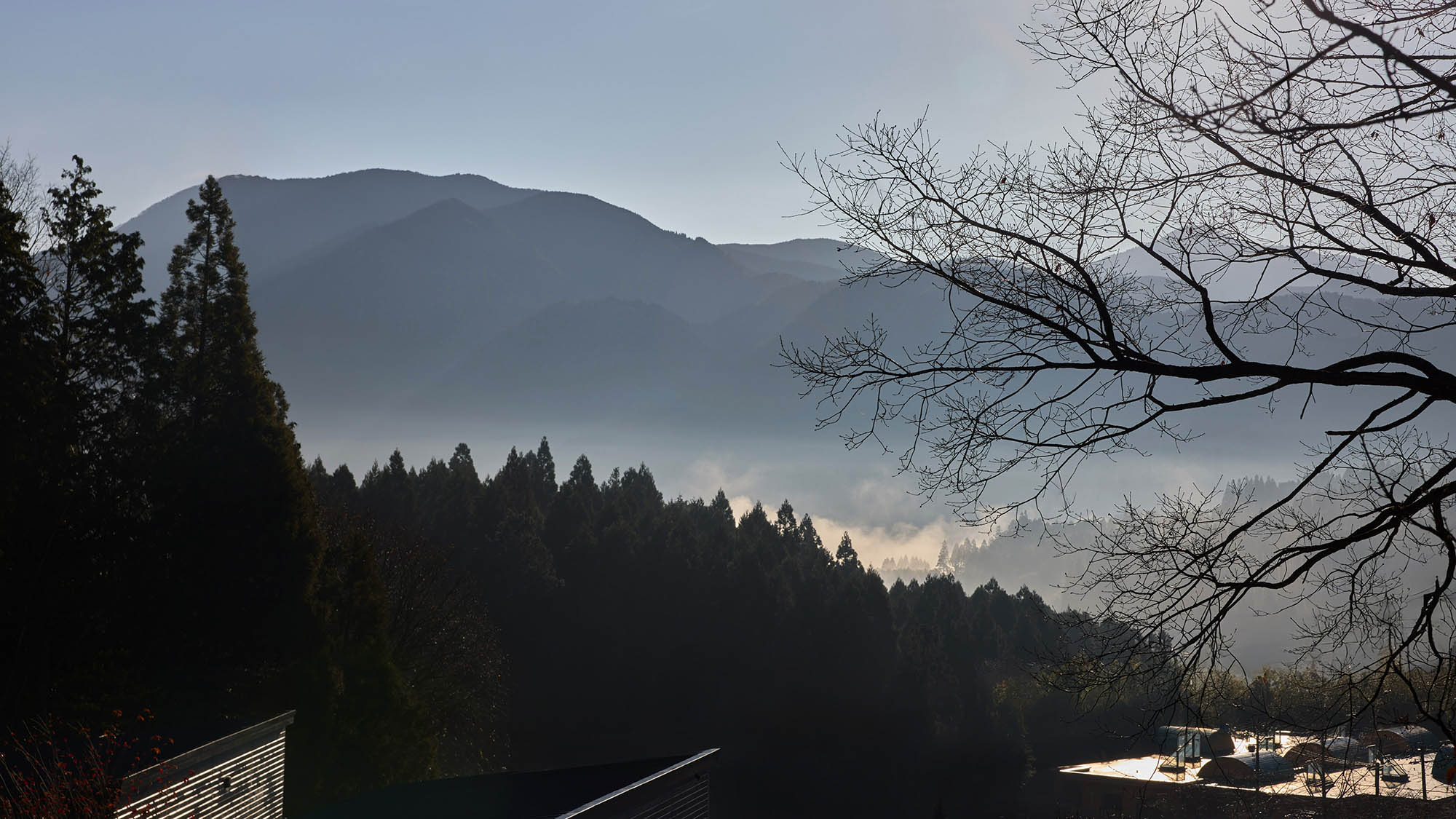 【外観：朝霧】由布院ならではの幻想的な朝霧