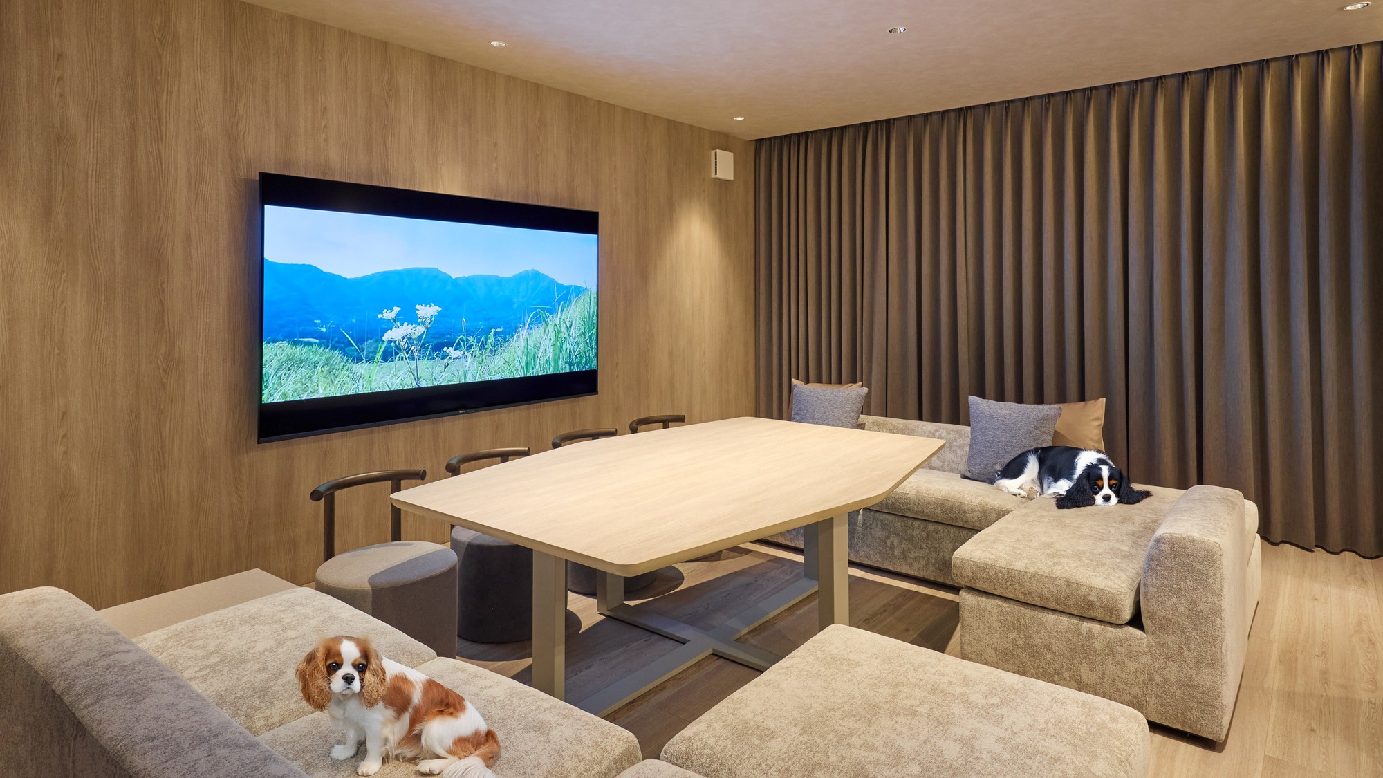 【A・Aペット：リビングダイニング】明るく開放的なリビングでワンちゃんも一緒にリラックス