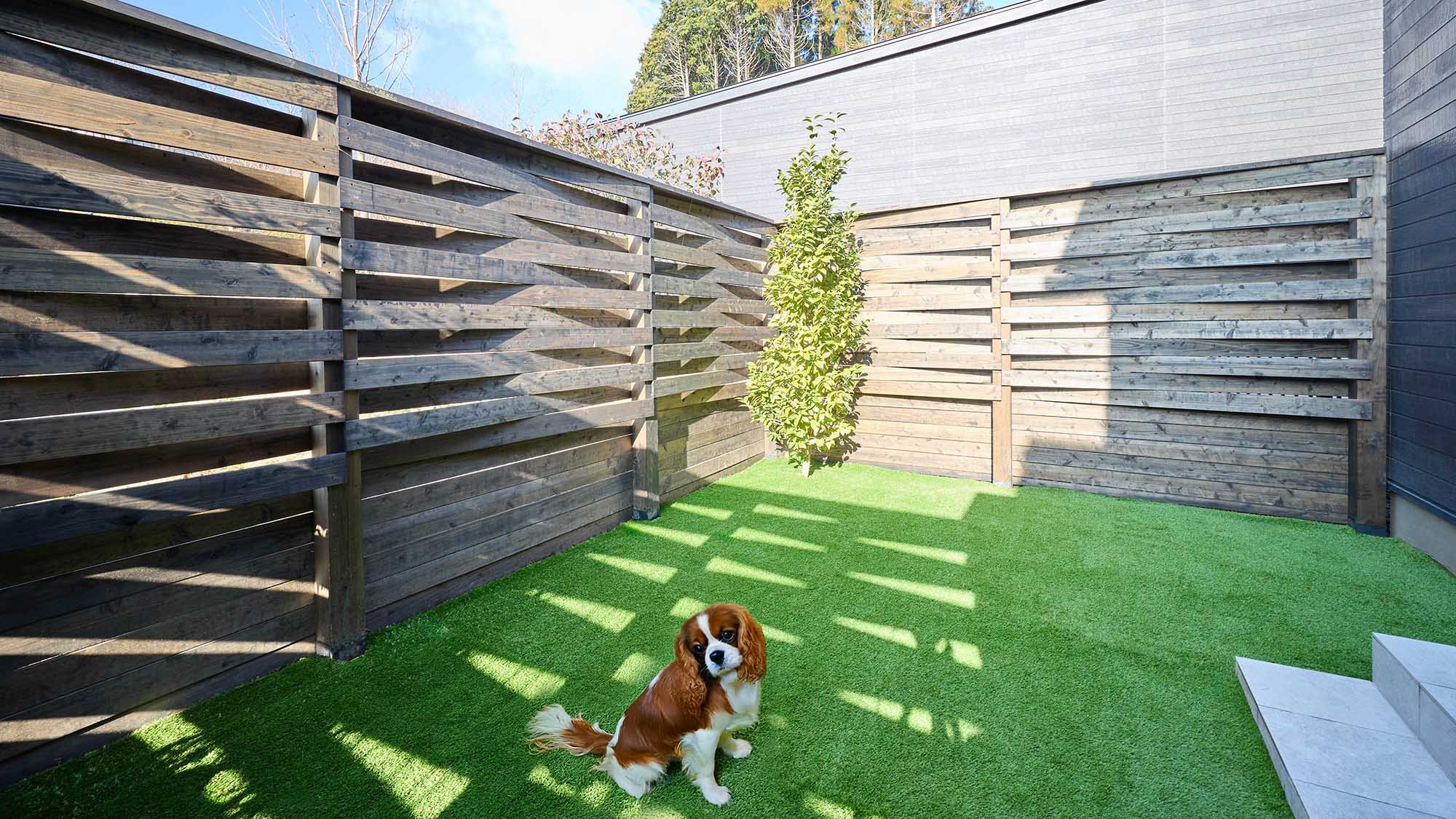 【D・Dペット：ドッグラン】客室専用ドッグランで、ワンちゃんものびのび♩