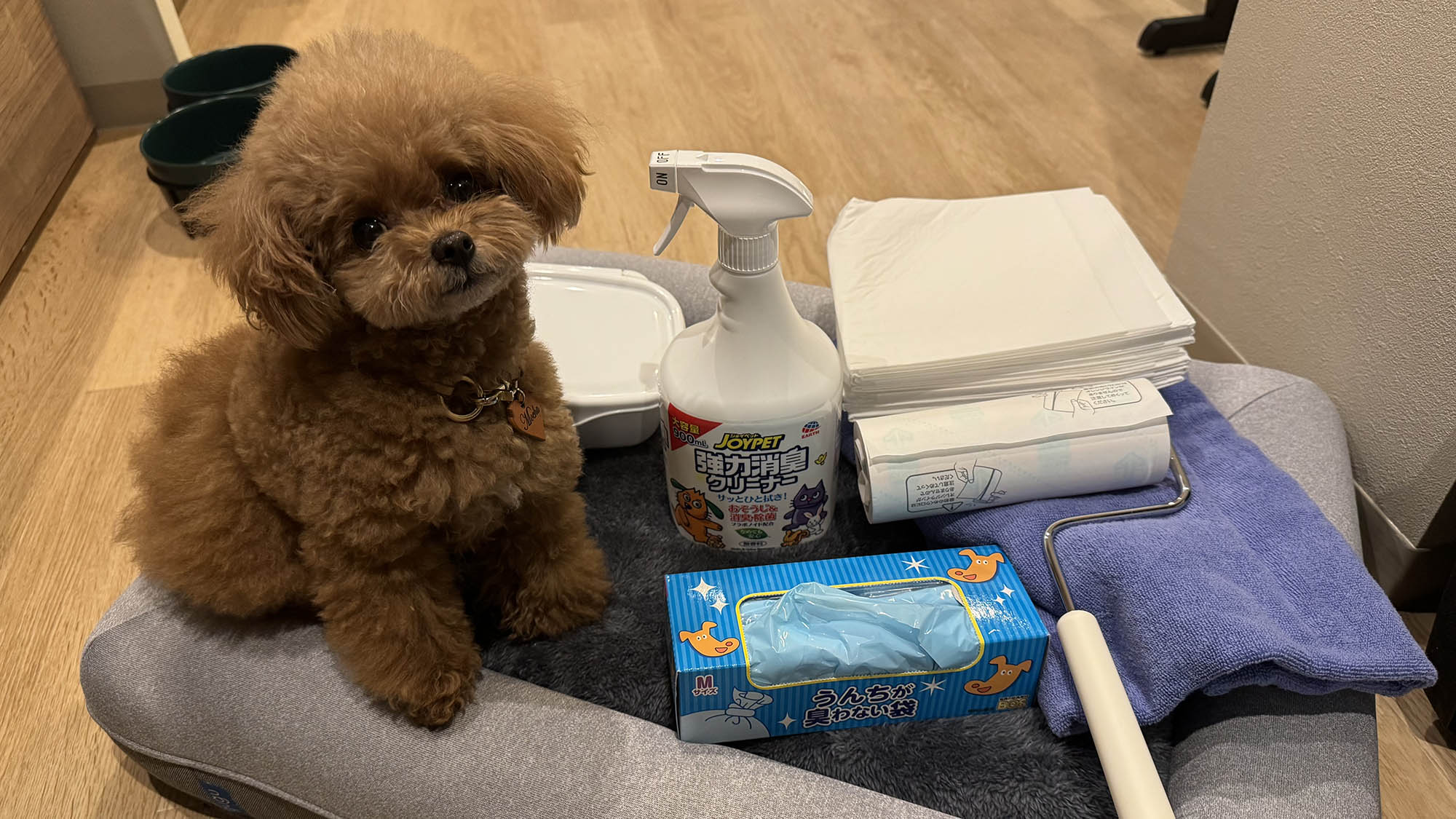 【その他：ペット用品】ペット連れも安心のグッズを用意