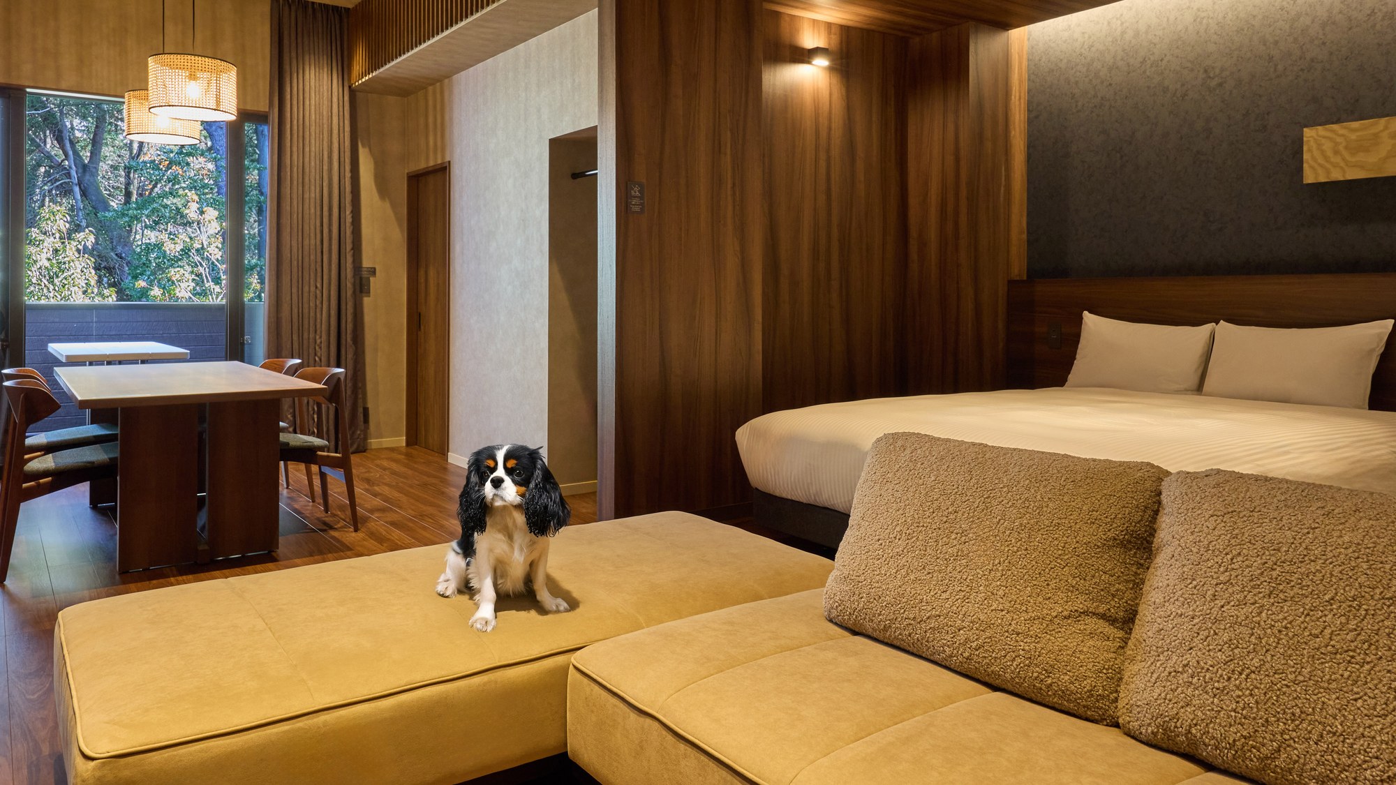 【D・Dペット：リビング】大きなソファでワンちゃんもリラックス団らんを