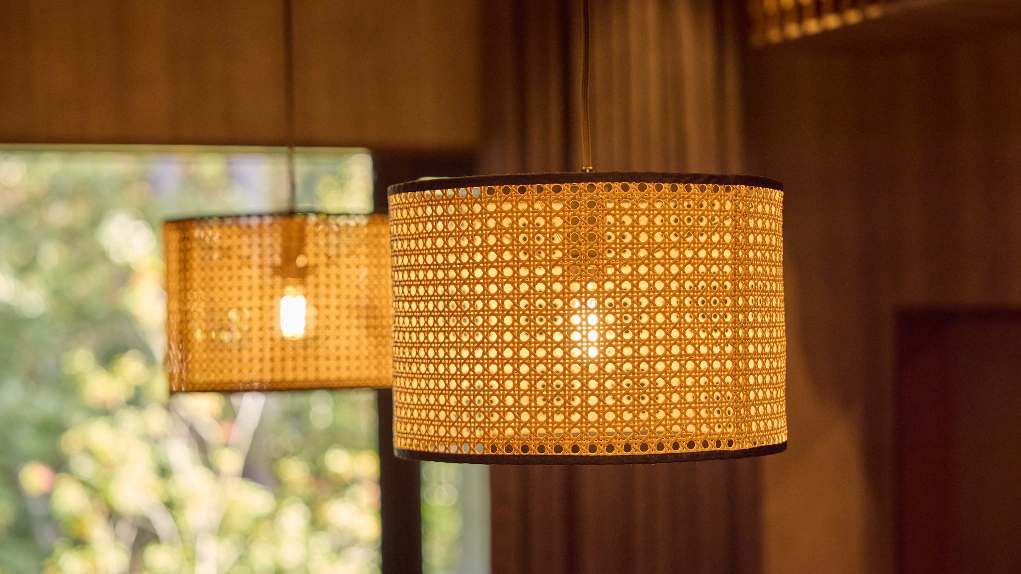 【D・Dペット：イメージ】