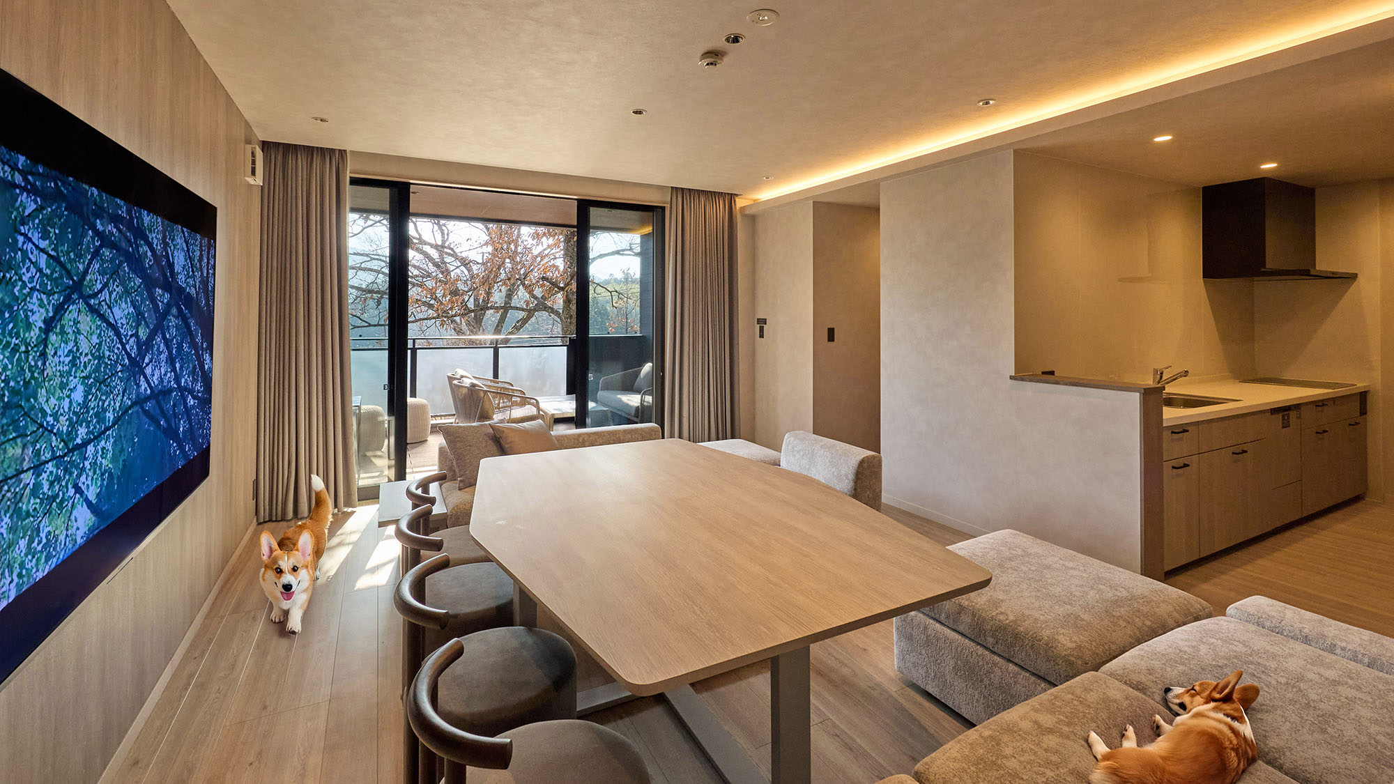 【A・Aペット：リビングダイニング】明るく開放的なリビングでワンちゃんも一緒にリラックス