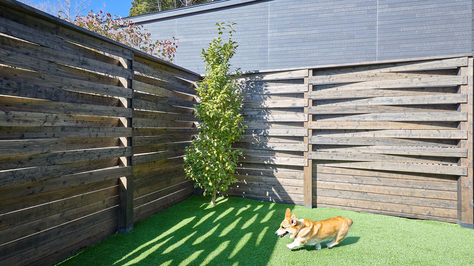 【D・Dペット：ドッグラン】客室専用ドッグランで、ワンちゃんものびのび♩