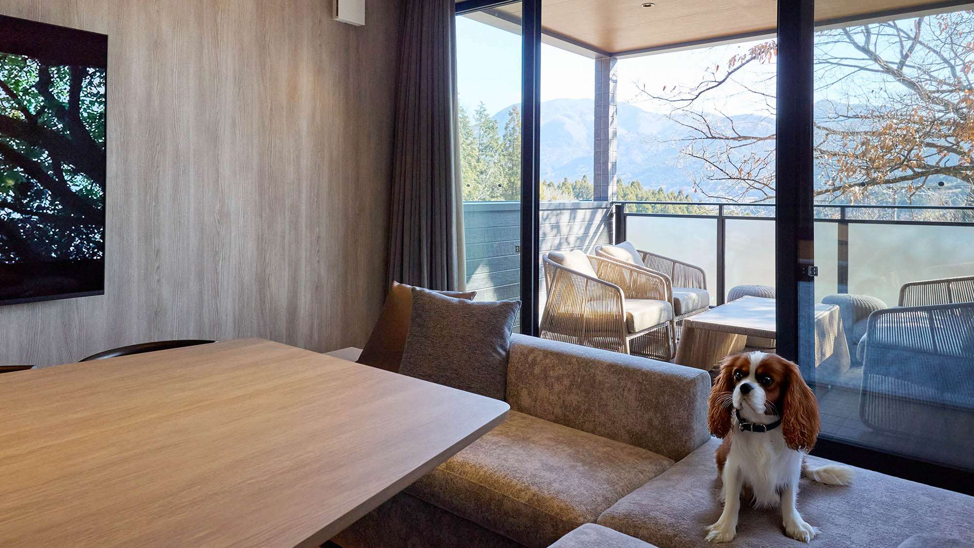 【A・Aペット：リビングダイニング】明るく開放的なリビングでワンちゃんも一緒にリラックス