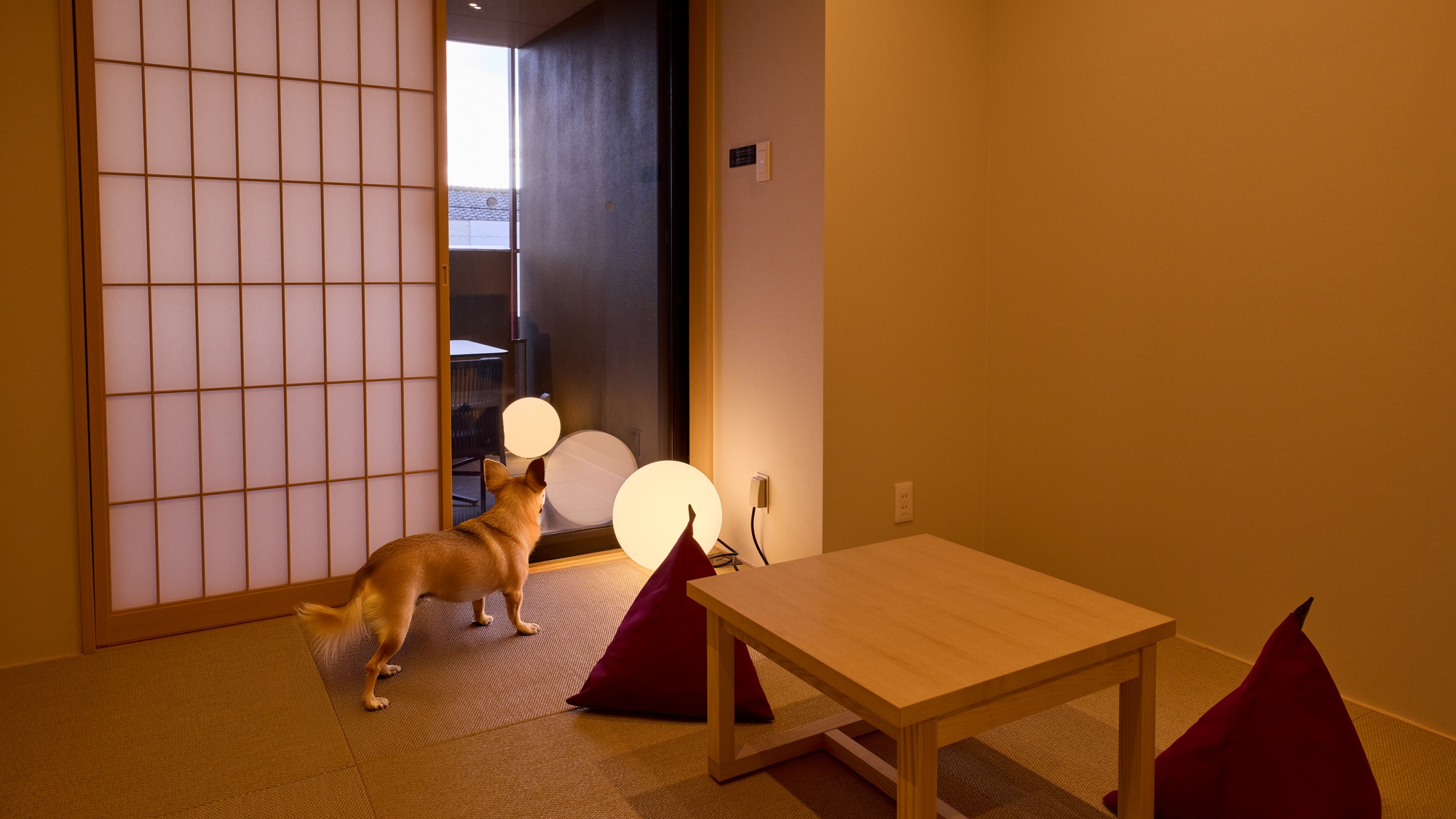 【客室:ドッグフレンドリールーム】大切な家族と過ごすひとときをお楽しみください