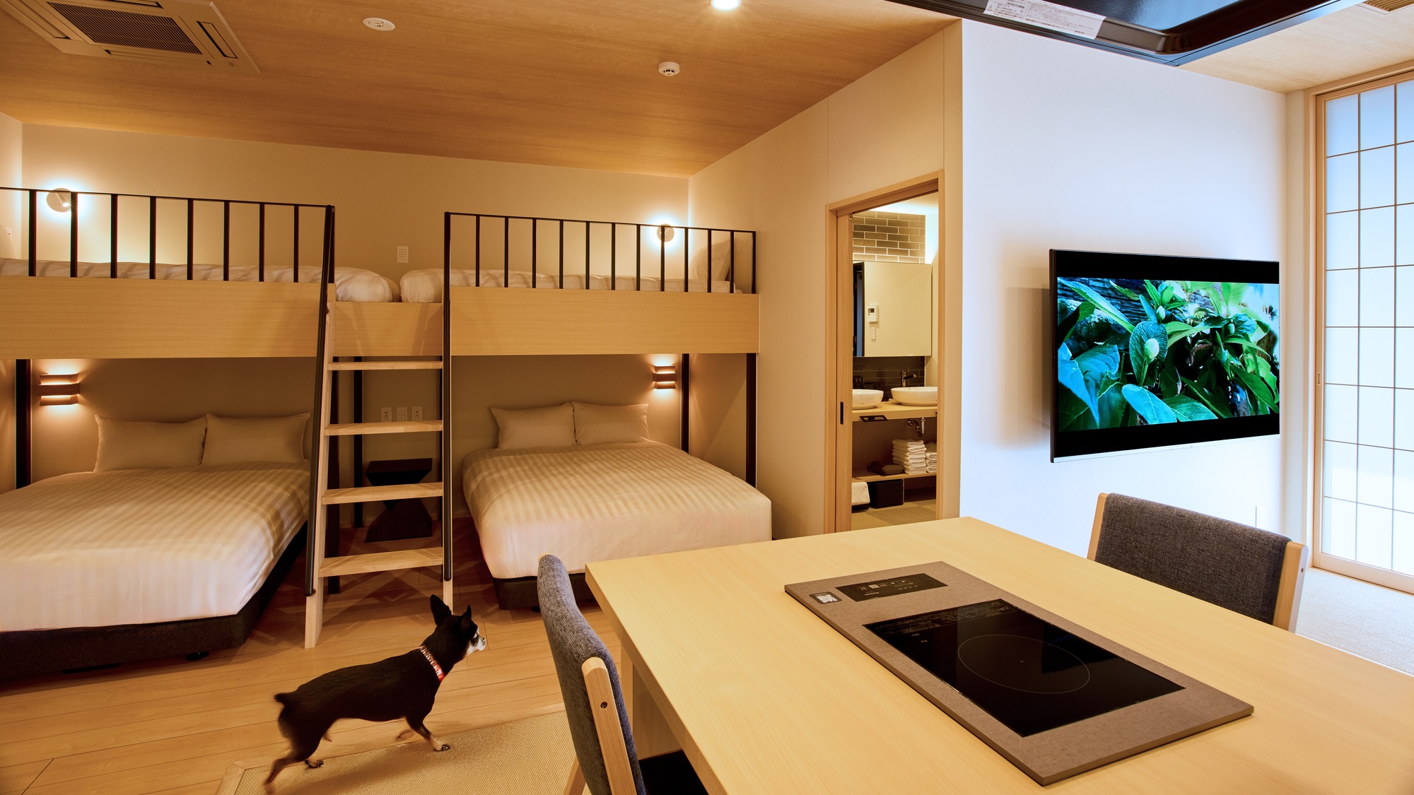 【客室:B(ドッグフレンドリールーム)】大切な家族と過ごすひとときをお楽しみください