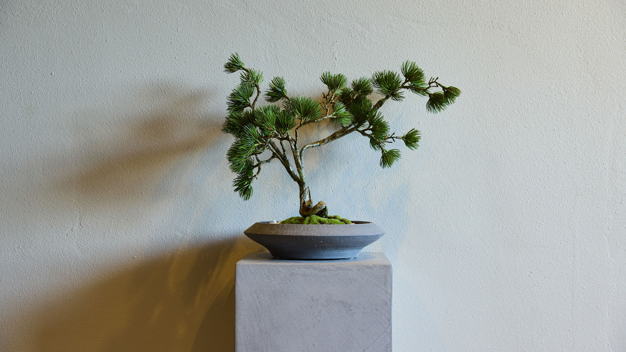 【共用部】施設の隅々に和の趣を感じる工夫がございます。