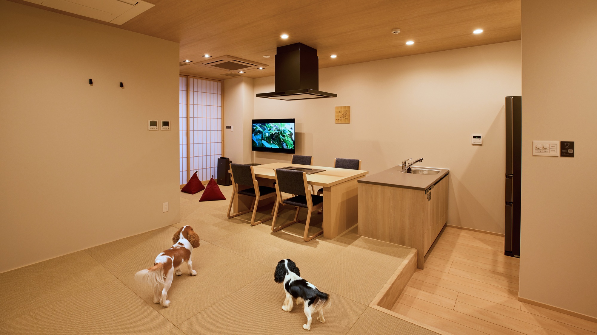 【客室:D(ドッグフレンドリールーム)】大切な家族と過ごすひとときをお楽しみください