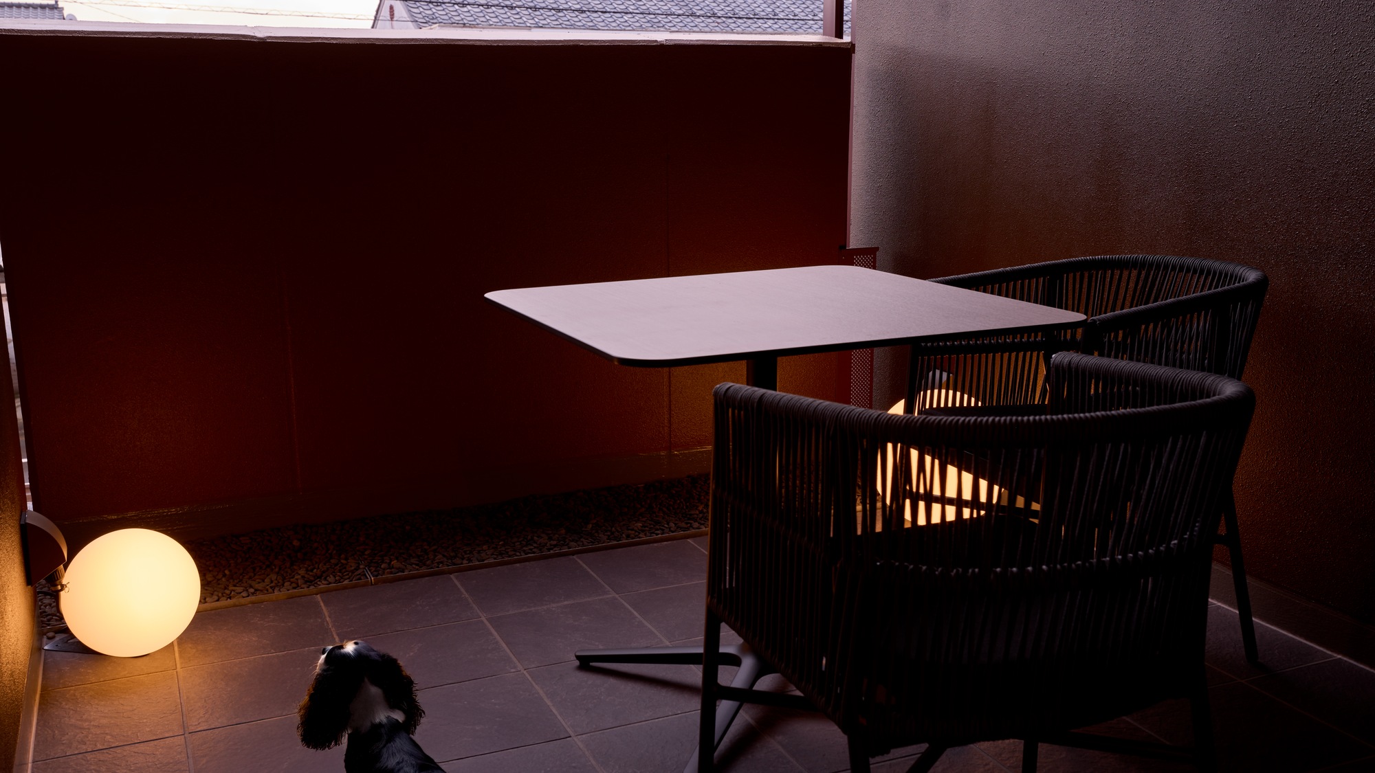 【テラス:ドッグフレンドリールーム】大切な家族と過ごすひとときをお楽しみください