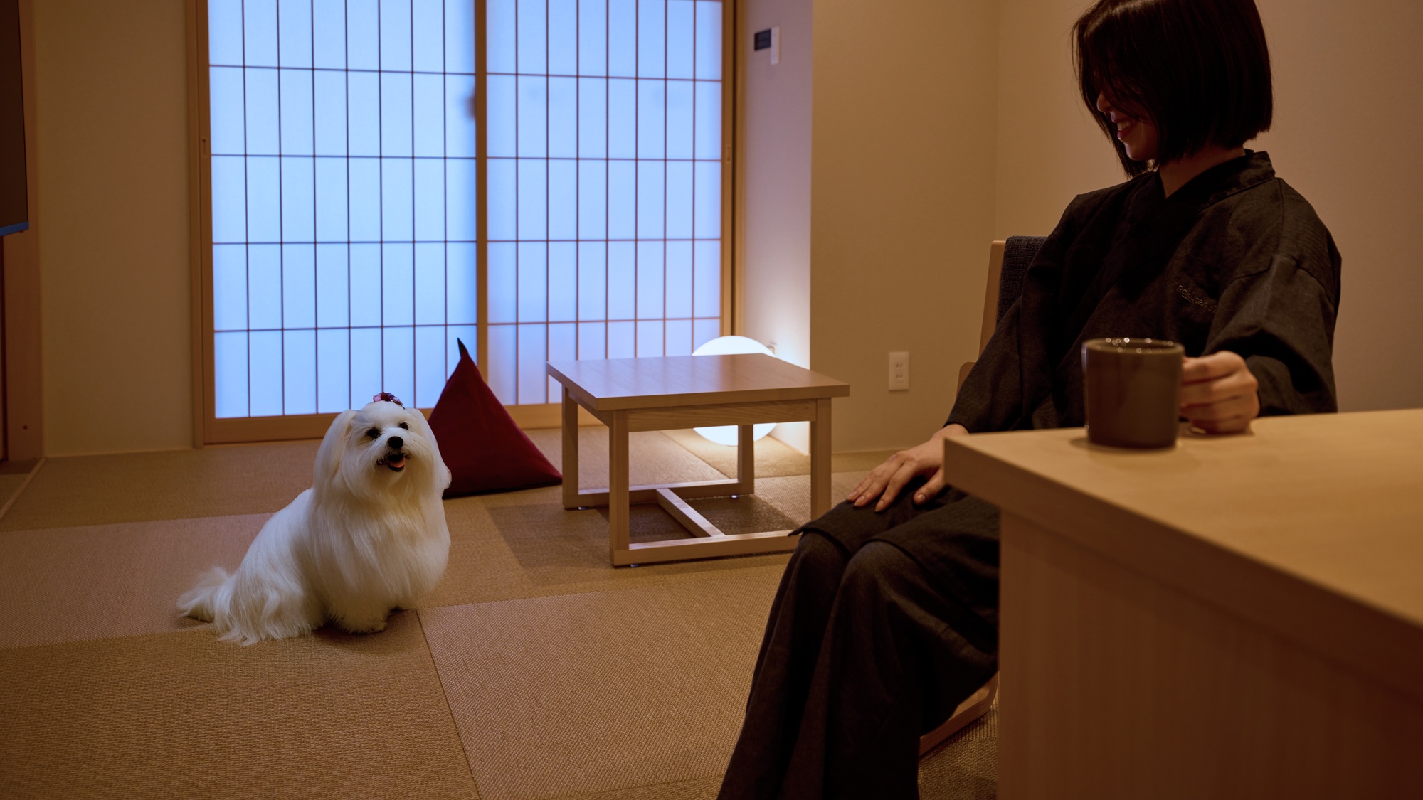 【客室:ドッグフレンドリールーム】大切な家族と過ごすひとときをお楽しみください