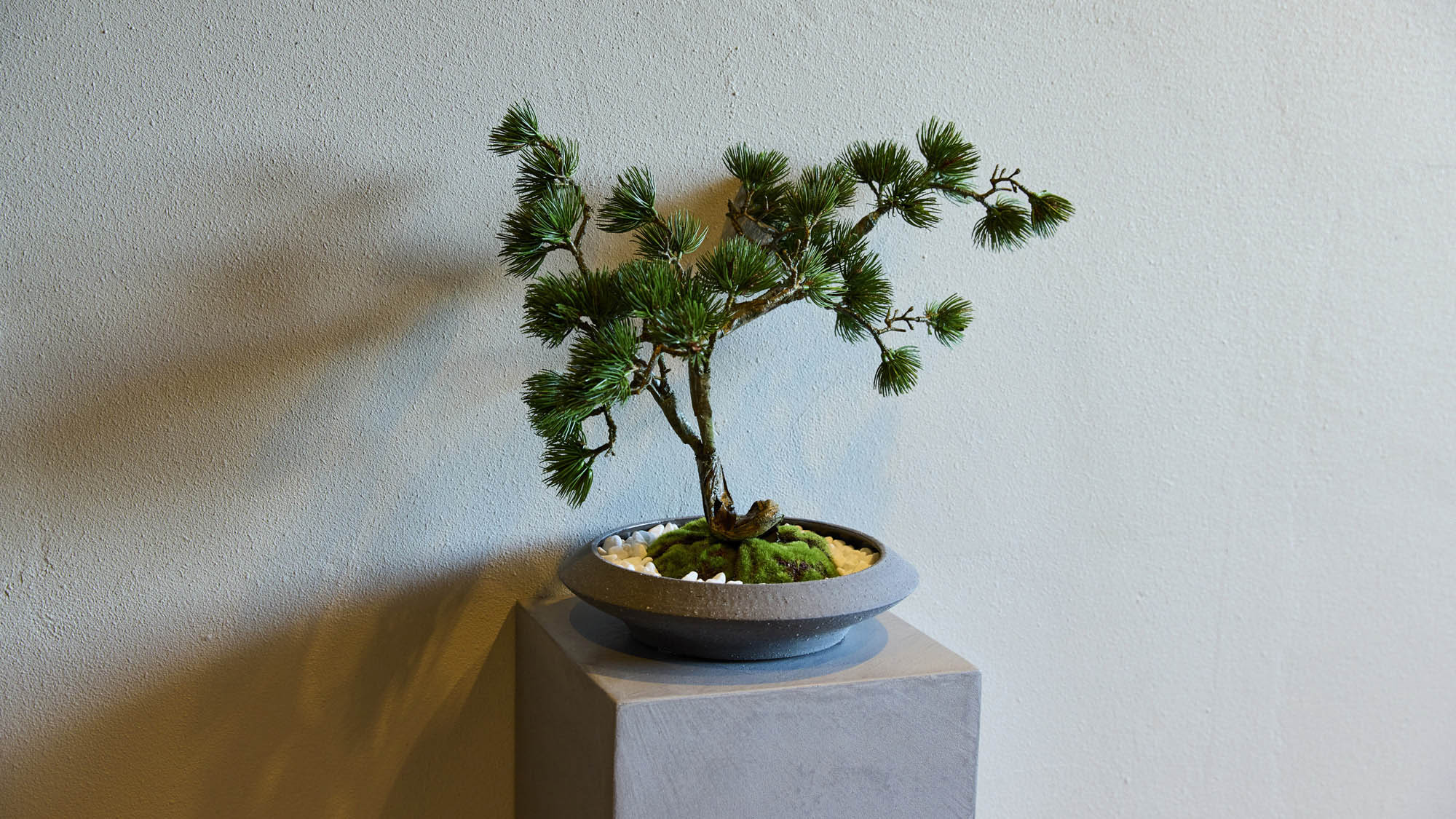 【共用部】施設の隅々に和の趣を感じる工夫がございます。