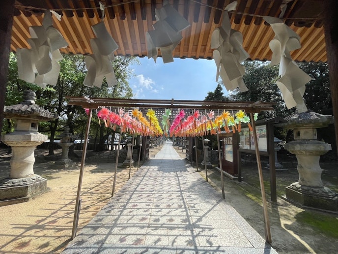 周辺情報（白鳥神社）
