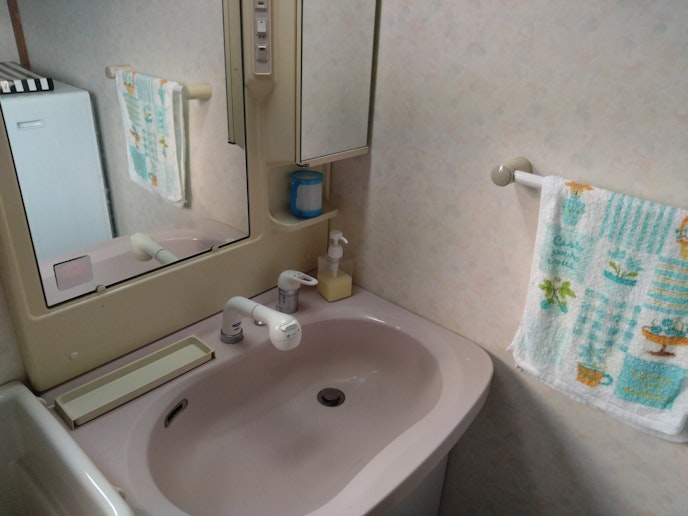 洗面NO.1　ゲスト様専用です。