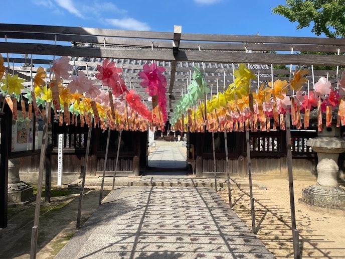 近隣情報（白鳥神社）