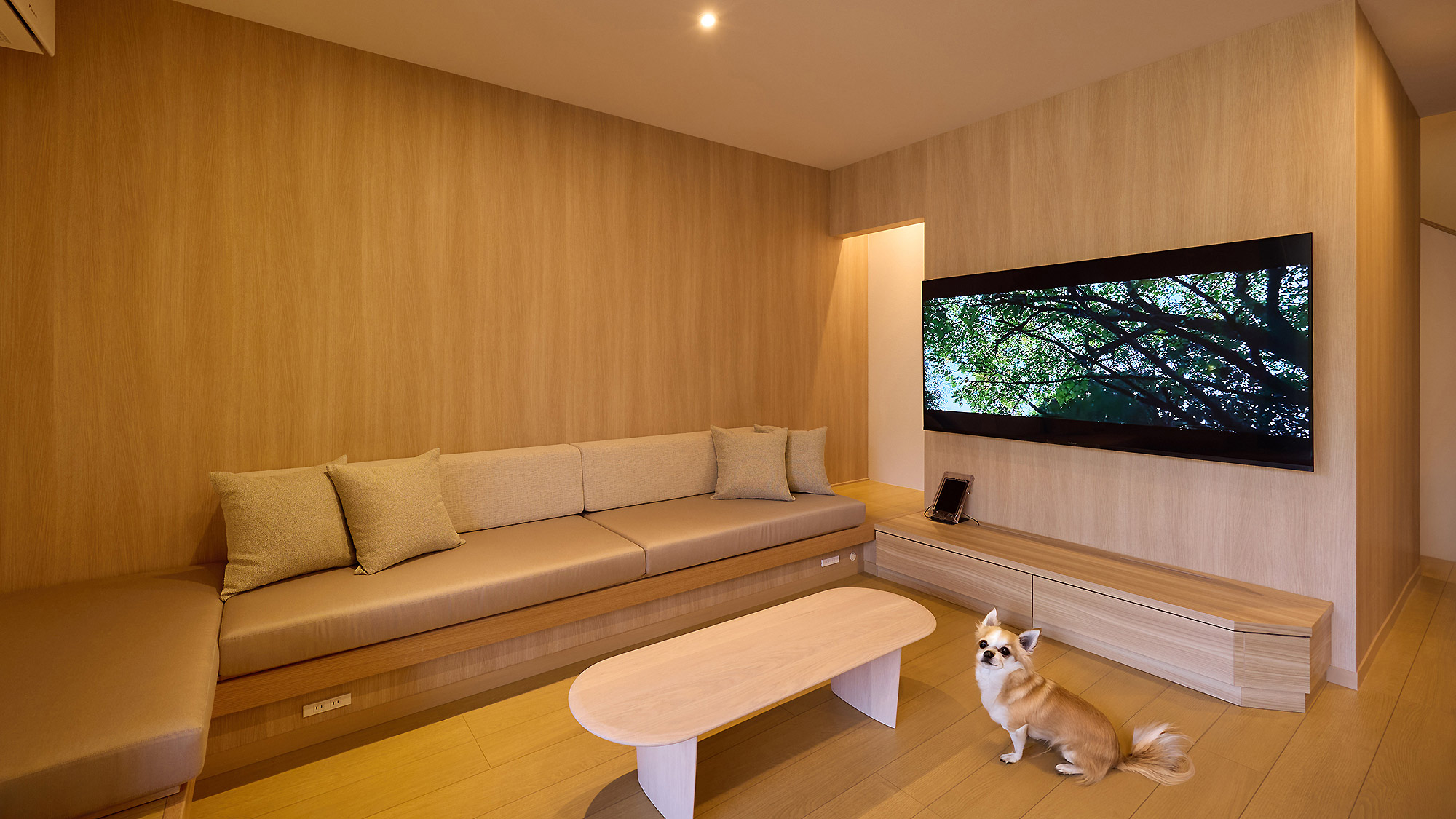 【Cペット】リビング