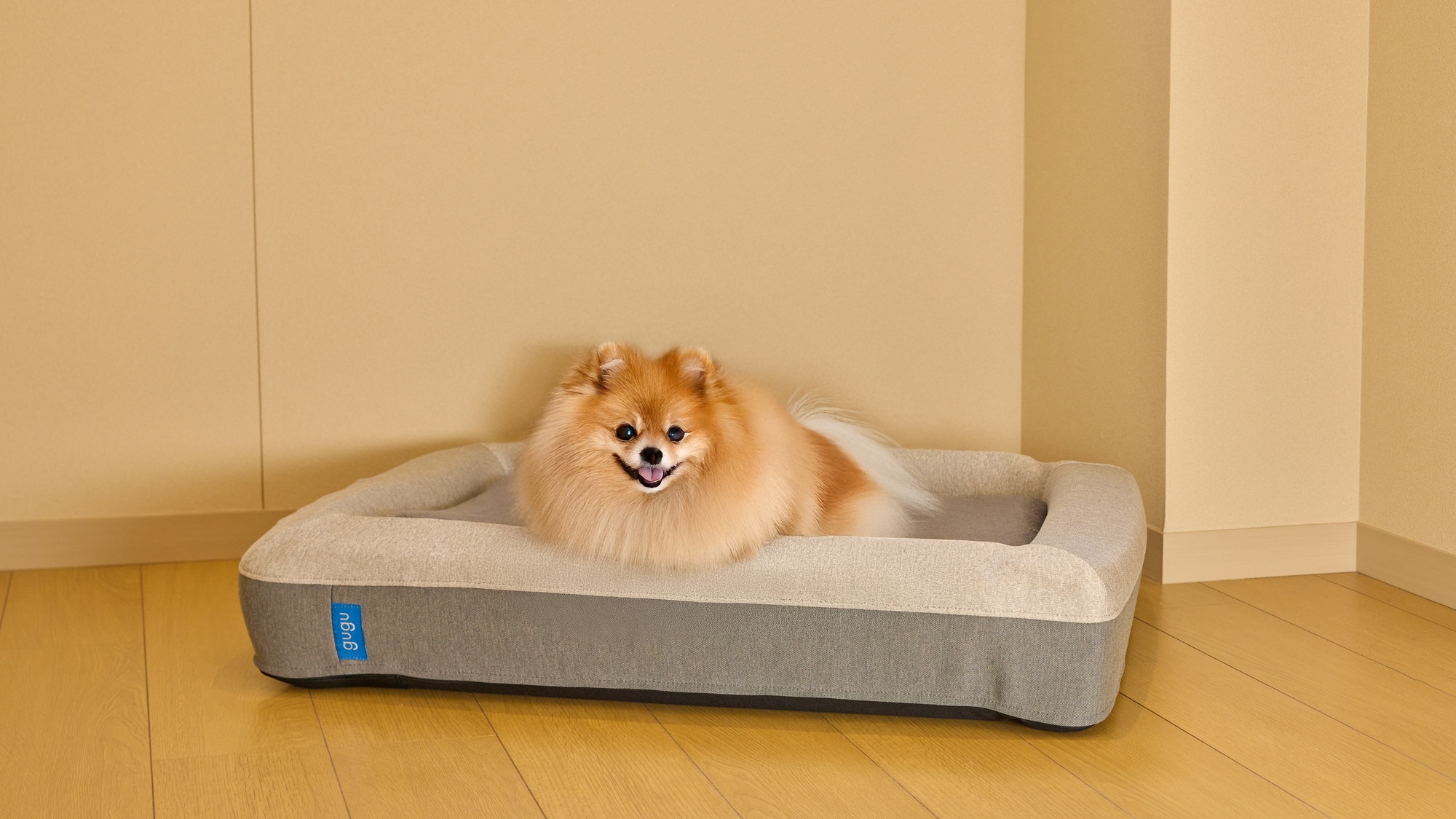 【Cペット】犬ケアグッズ