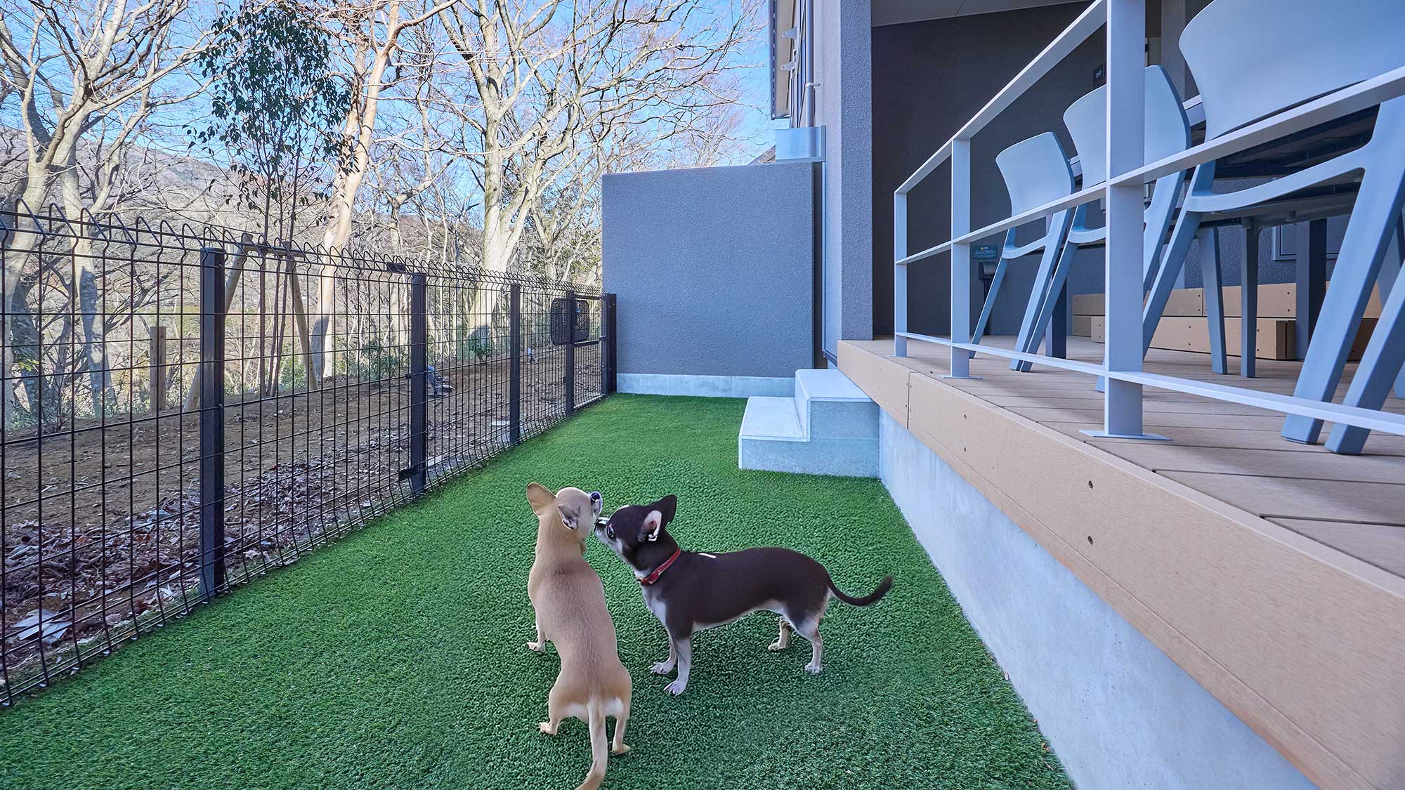 【Cペット】ドッグラン