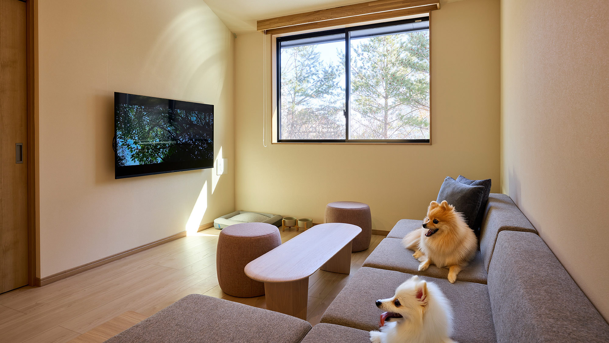 【E：リビング】心地よい自然光差し込む、明るい雰囲気のリビング空間