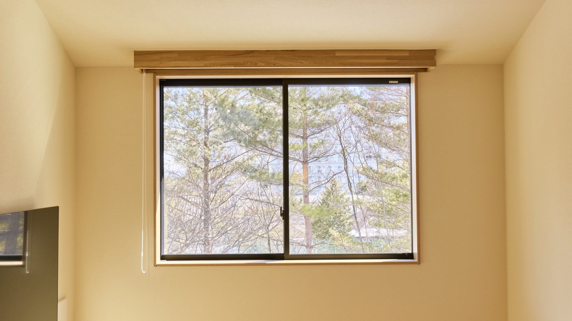 【その他：景観】お部屋からは隣接する国有林の豊かで美しい木々の眺望