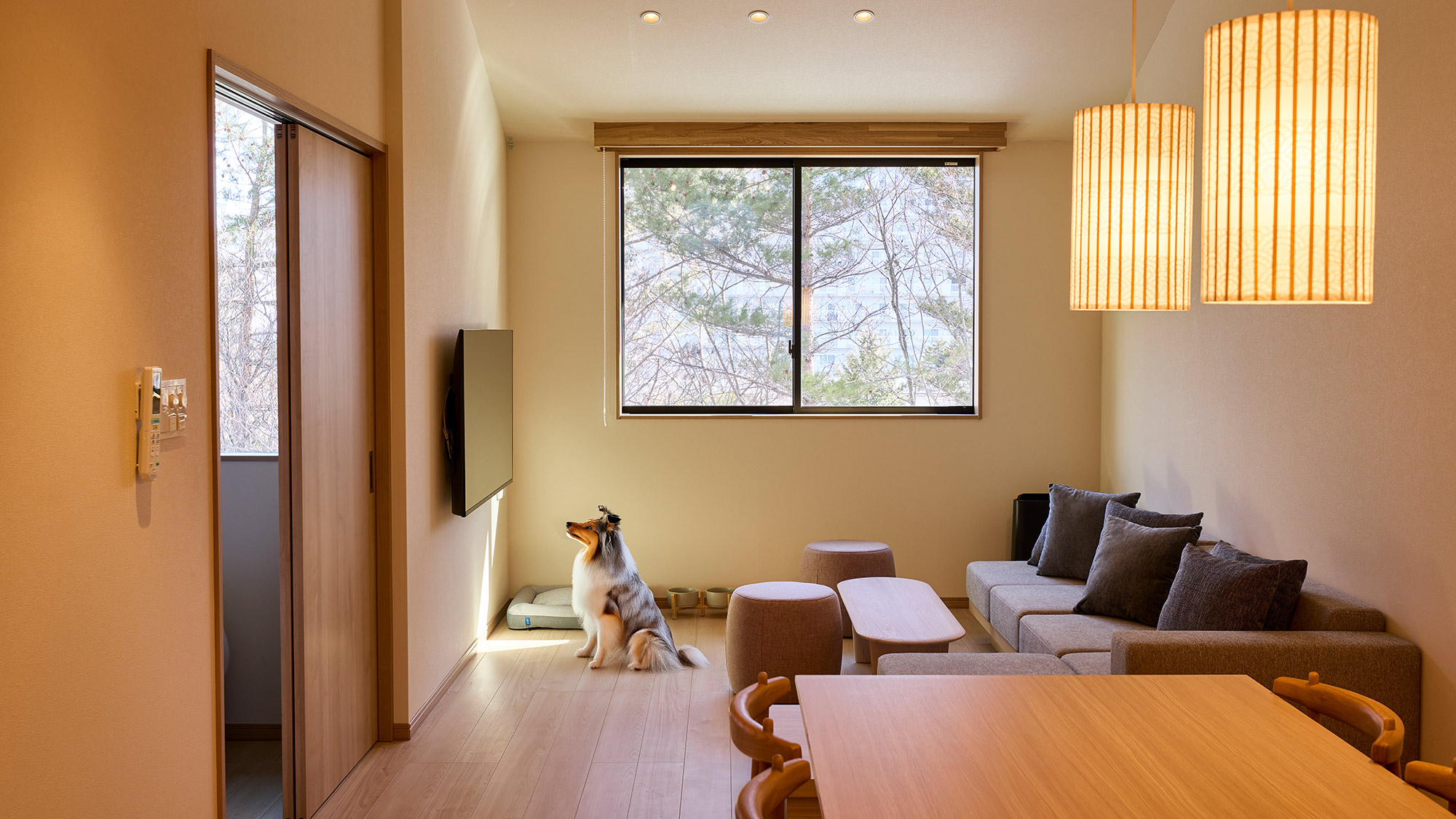 【E：リビング】ワンちゃんも一緒にリッラクス