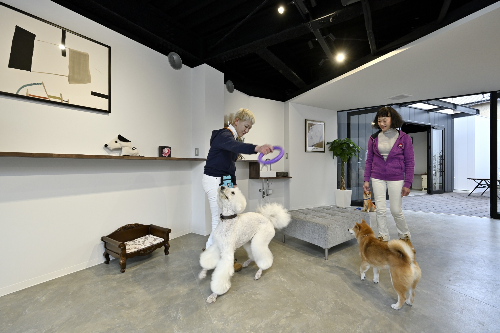 1Fカフェには室内ドッグランを併設しています。