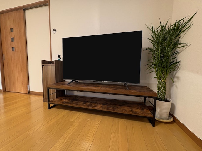 ・【リビング】大画面薄型テレビは、インターネットTVもご視聴いただけます