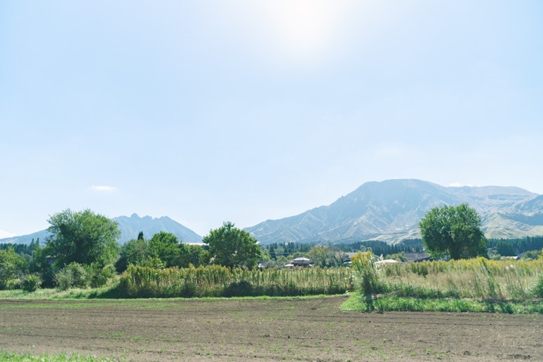 目の前に広がる、雄大な自然