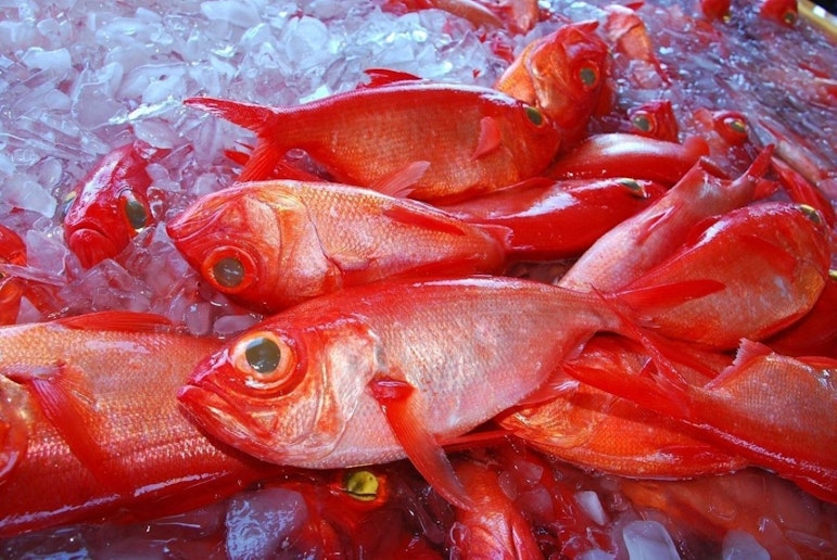 銚子つりきんめ