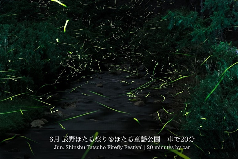 6月：辰野ほたる祭り（車で２0分）