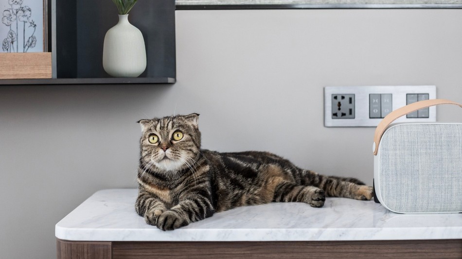 ペット・フレンドリー