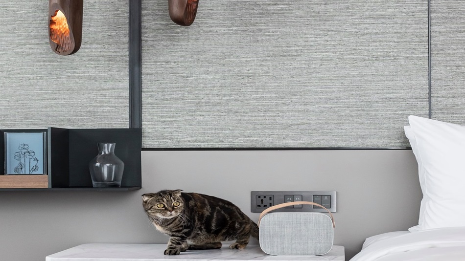 ペットフレンドリー