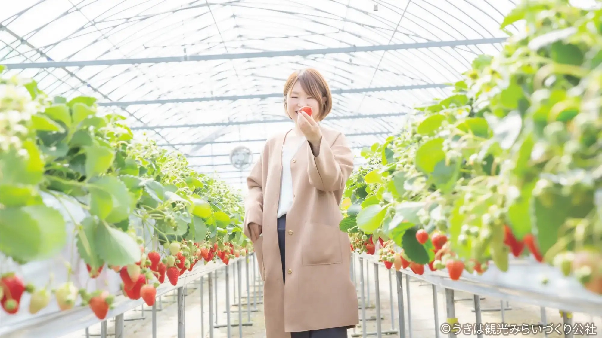 【春SALE】【温泉無料・エアコン・本格BBQ・飲み放題！】広い空間とお手頃価格でアウトドア体験！