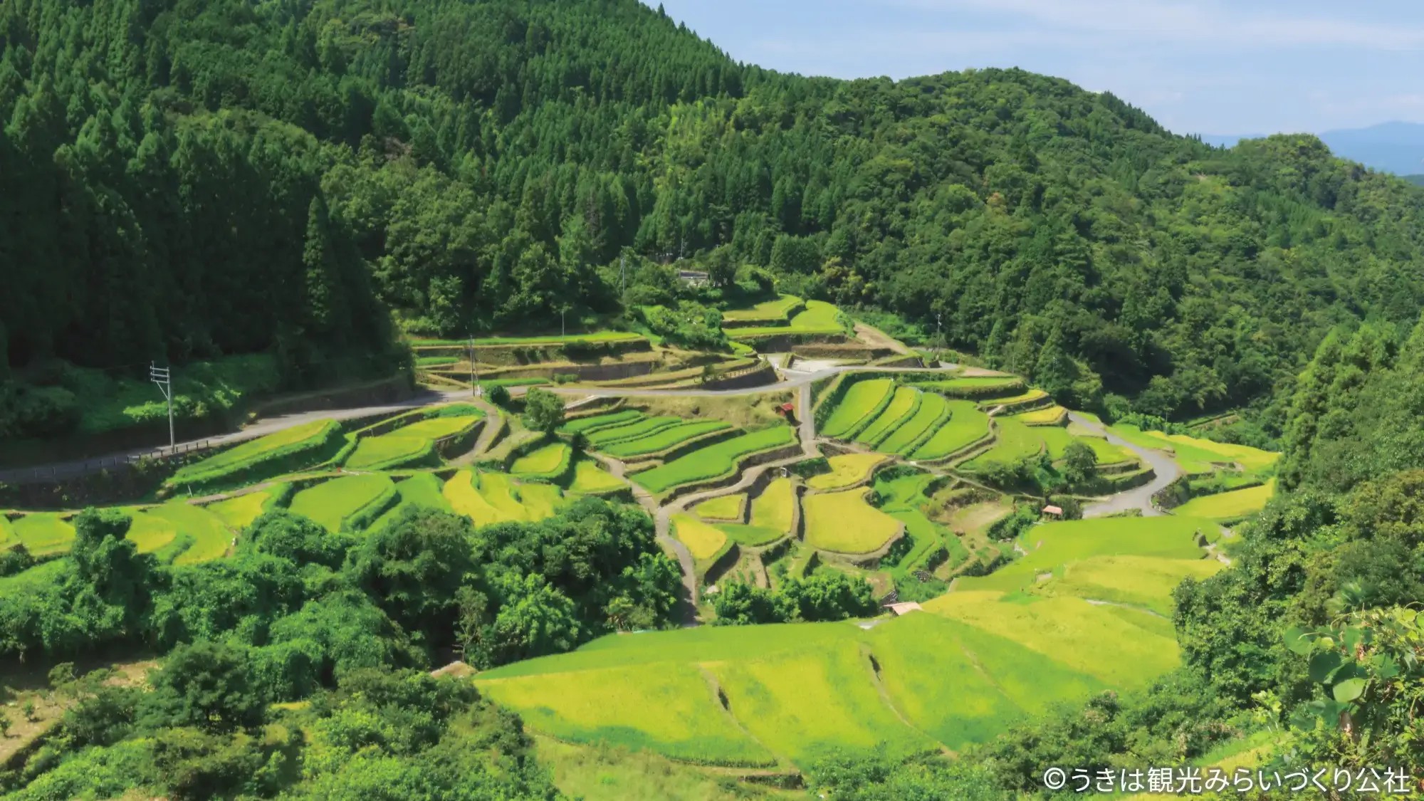 【周辺観光／うきは市／つづら棚田】